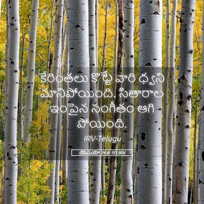 Picture 05 - యెషయా 24:8 TELIRV - కేరింతలు కొట్టే - Bible Verse Picture