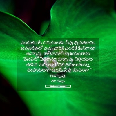 Picture 05 - యెషయా 25:4 TELIRV - ఎందుకంటే - Bible Verse Picture