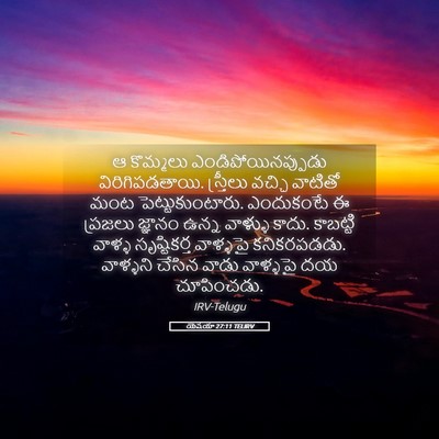 Picture 05 - యెషయా 27:11 TELIRV - ఆ కొమ్మలు - Bible Verse Picture