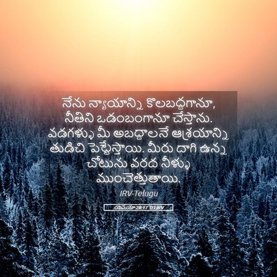 Picture 05 - యెషయా 28:17 TELIRV - నేను న్యాయాన్ని - Bible Verse Picture