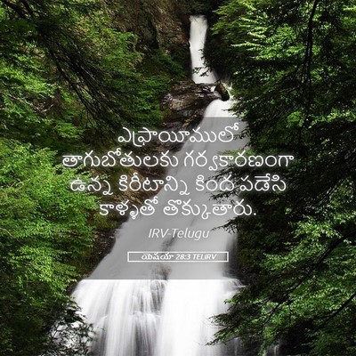 Picture 05 - యెషయా 28:3 TELIRV - ఎఫ్రాయీములో - Bible Verse Picture