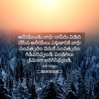 Picture 05 - యెషయా 29:1 TELIRV - అరీయేలుకు బాధ! - Bible Verse Picture