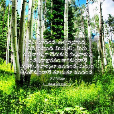 Picture 05 - యెషయా 29:9 TELIRV - వేచి చూడండి! - Bible Verse Picture