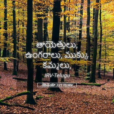 Picture 05 - యెషయా 3:21 TELIRV - తాయెత్తులు, - Bible Verse Picture