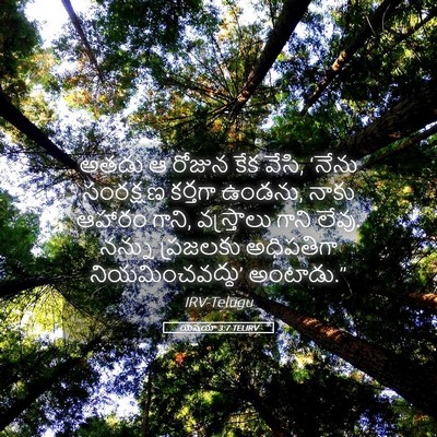 Picture 05 - యెషయా 3:7 TELIRV - అతడు ఆ రోజున కేక - Bible Verse Picture