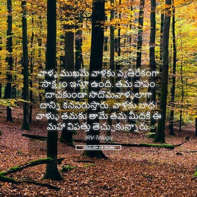 Picture 05 - యెషయా 3:9 TELIRV - వాళ్ళ ముఖమే - Bible Verse Picture