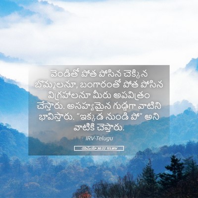 Picture 05 - యెషయా 30:22 TELIRV - వెండితో పోత పోసిన - Bible Verse Picture