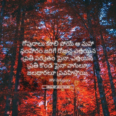 Picture 05 - యెషయా 30:25 TELIRV - గోపురాలు కూలి - Bible Verse Picture