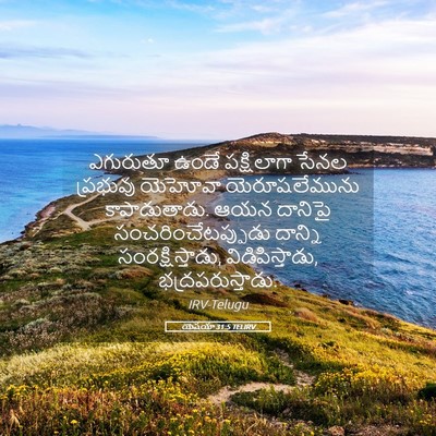 Picture 05 - యెషయా 31:5 TELIRV - ఎగురుతూ ఉండే - Bible Verse Picture