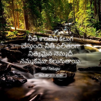 Picture 05 - యెషయా 32:17 TELIRV - నీతి శాంతిని కలుగ - Bible Verse Picture