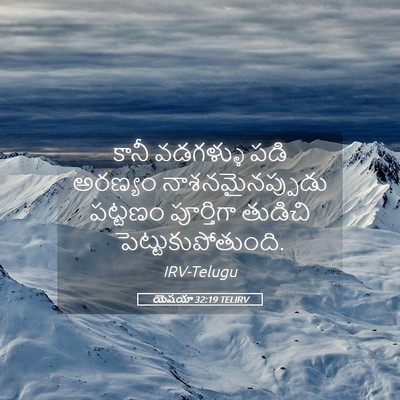 Picture 05 - యెషయా 32:19 TELIRV - కానీ వడగళ్ళు పడి - Bible Verse Picture