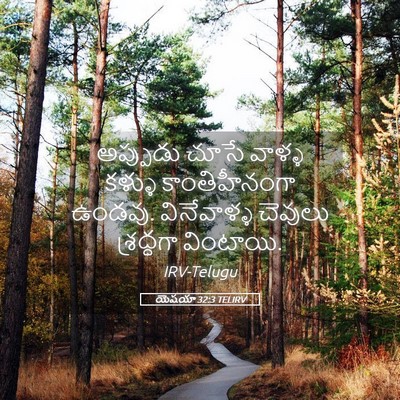 Picture 05 - యెషయా 32:3 TELIRV - అప్పుడు చూసే - Bible Verse Picture