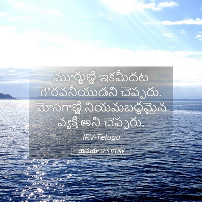 Picture 05 - యెషయా 32:5 TELIRV - మూర్ఖుణ్ణి ఇకమీదట - Bible Verse Picture