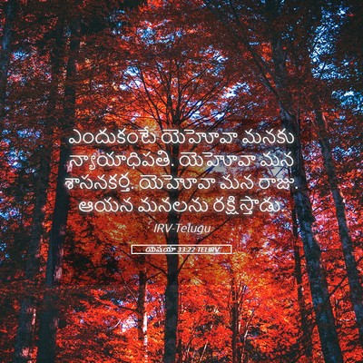 Picture 05 - యెషయా 33:22 TELIRV - ఎందుకంటే యెహోవా - Bible Verse Picture