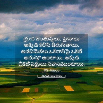 Picture 05 - యెషయా 34:14 TELIRV - క్రూర జంతువులు, - Bible Verse Picture