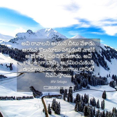 Picture 05 - యెషయా 34:17 TELIRV - అవి రావాలని ఆయన - Bible Verse Picture