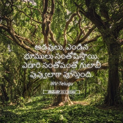 Picture 05 - యెషయా 35:1 TELIRV - అడవులు, ఎండిన - Bible Verse Picture