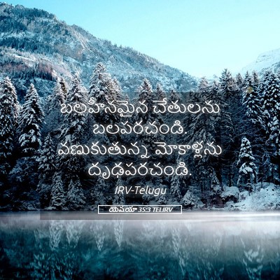 Picture 05 - యెషయా 35:3 TELIRV - బలహీనమైన చేతులను - Bible Verse Picture