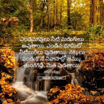Picture 05 - యెషయా 35:7 TELIRV - ఎండమావులు నీటి - Bible Verse Picture
