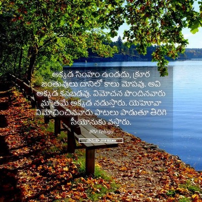 Picture 05 - యెషయా 35:9 TELIRV - అక్కడ సింహం ఉండదు, - Bible Verse Picture