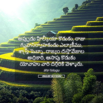 Picture 05 - యెషయా 36:3 TELIRV - అప్పుడు హిల్కీయా - Bible Verse Picture