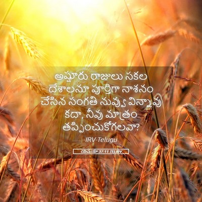 Picture 05 - యెషయా 37:11 TELIRV - అష్షూరు రాజులు - Bible Verse Picture