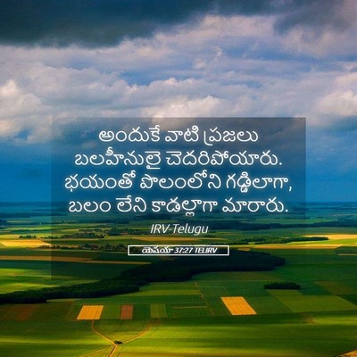 Picture 05 - యెషయా 37:27 TELIRV - అందుకే వాటి - Bible Verse Picture