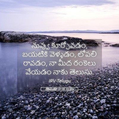Picture 05 - యెషయా 37:28 TELIRV - నువ్వు కూర్చోవడం, - Bible Verse Picture
