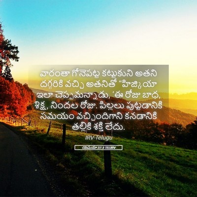 Picture 05 - యెషయా 37:3 TELIRV - వారంతా గోనెపట్ట - Bible Verse Picture