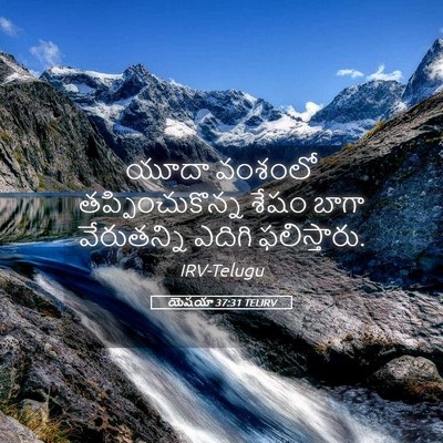 Picture 05 - యెషయా 37:31 TELIRV - యూదా వంశంలో - Bible Verse Picture