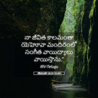 Picture 05 - యెషయా 38:20 TELIRV - నా జీవిత కాలమంతా - Bible Verse Picture