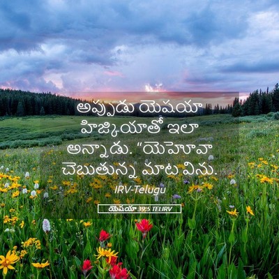 Picture 05 - యెషయా 39:5 TELIRV - అప్పుడు యెషయా - Bible Verse Picture