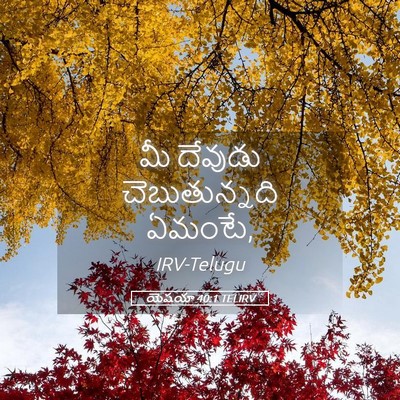 Picture 05 - యెషయా 40:1 TELIRV - మీ దేవుడు - Bible Verse Picture