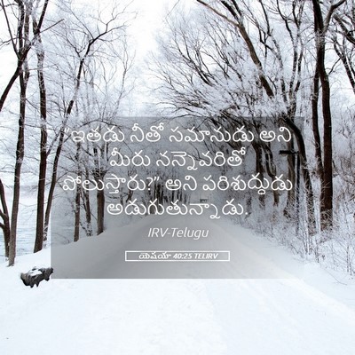 Picture 05 - యెషయా 40:25 TELIRV - “ఇతడు నీతో - Bible Verse Picture