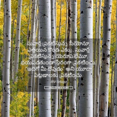 Picture 05 - యెషయా 40:9 TELIRV - సువార్త - Bible Verse Picture