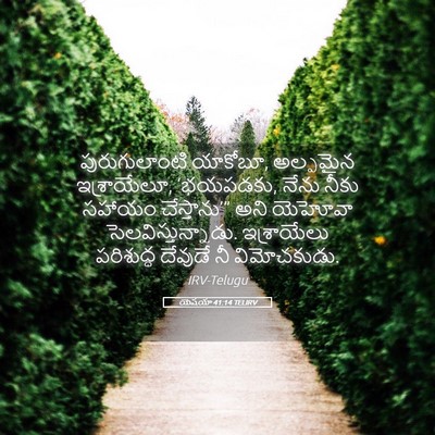 Picture 05 - యెషయా 41:14 TELIRV - పురుగులాంటి - Bible Verse Picture