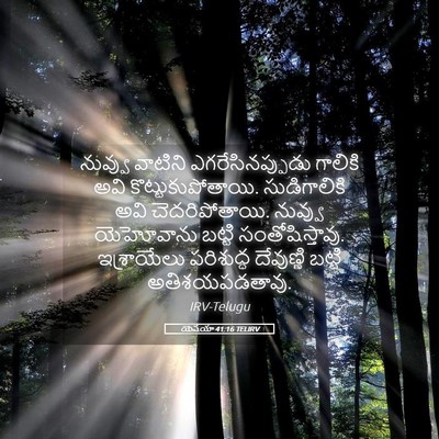 Picture 05 - యెషయా 41:16 TELIRV - నువ్వు వాటిని - Bible Verse Picture