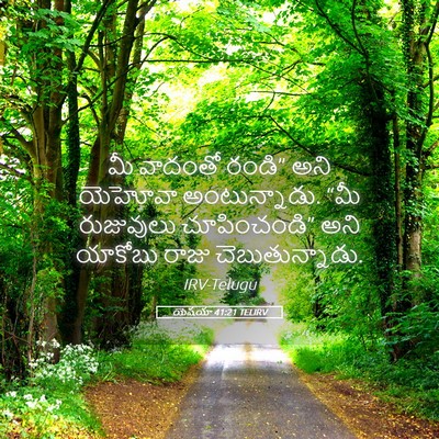 Picture 05 - యెషయా 41:21 TELIRV - మీ వాదంతో రండి” - Bible Verse Picture