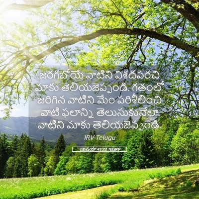 Picture 05 - యెషయా 41:22 TELIRV - జరగబోయే వాటిని - Bible Verse Picture