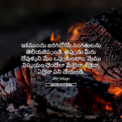 Picture 05 - యెషయా 41:23 TELIRV - ఇకముందు జరగబోయే - Bible Verse Picture