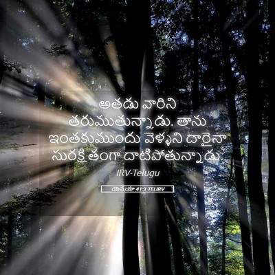 Picture 05 - యెషయా 41:3 TELIRV - అతడు వారిని - Bible Verse Picture