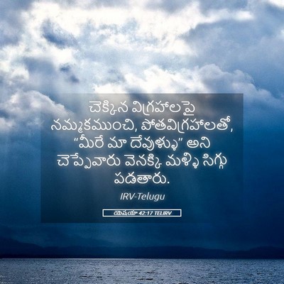 Picture 05 - యెషయా 42:17 TELIRV - చెక్కిన - Bible Verse Picture