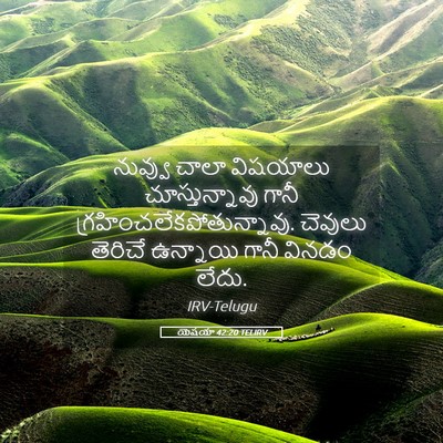 Picture 05 - యెషయా 42:20 TELIRV - నువ్వు చాలా - Bible Verse Picture