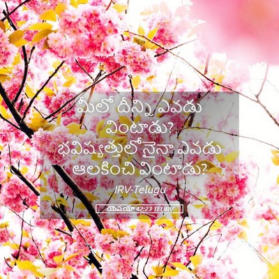 Picture 05 - యెషయా 42:23 TELIRV - మీలో దీన్ని ఎవడు - Bible Verse Picture