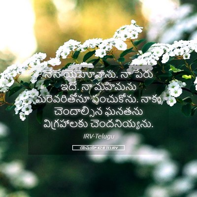 Picture 05 - యెషయా 42:8 TELIRV - నేనే యెహోవాను. నా - Bible Verse Picture