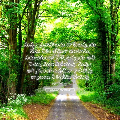 Picture 05 - యెషయా 43:2 TELIRV - నువ్వు ప్రవాహాలను - Bible Verse Picture
