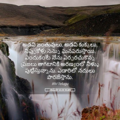 Picture 05 - యెషయా 43:20 TELIRV - అడవి జంతువులు, - Bible Verse Picture
