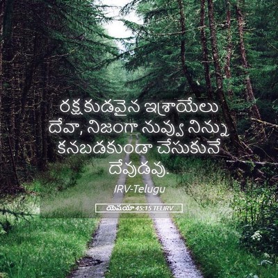 Picture 05 - యెషయా 45:15 TELIRV - రక్షకుడవైన - Bible Verse Picture