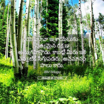 Picture 05 - యెషయా 45:17 TELIRV - యెహోవా - Bible Verse Picture