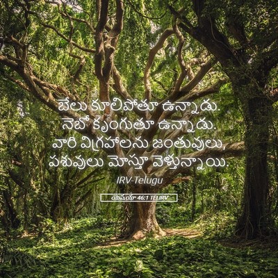 Picture 05 - యెషయా 46:1 TELIRV - బేలు కూలిపోతూ - Bible Verse Picture